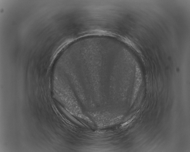 X0000062631318200601111050