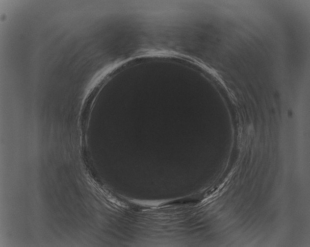 X0000062631319200601111050