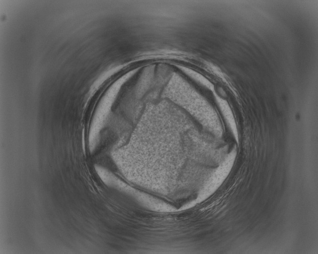 X0000062631320200601111050