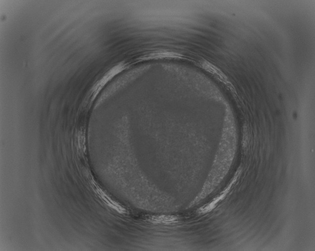 X0000062631321200601111050