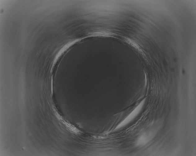 X0000062631323200601111050