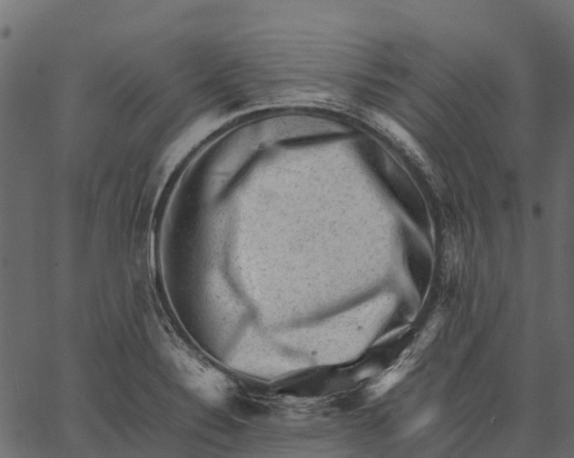 X0000062631324200601111050