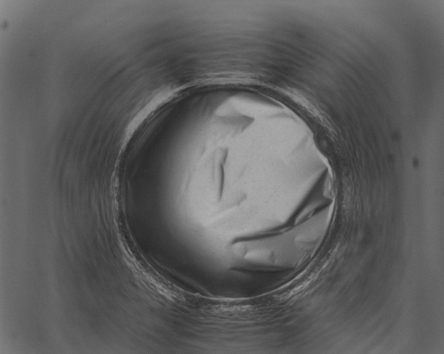 X0000062631325200601111050