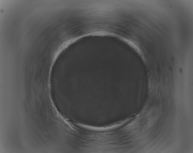 X0000062631327200601111050