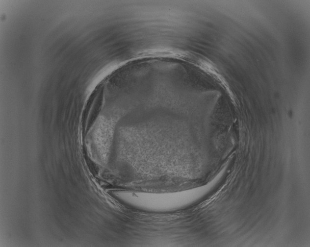 X0000062631328200601111050