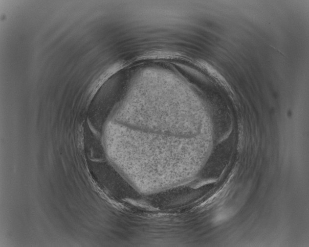 X0000062631329200601111050