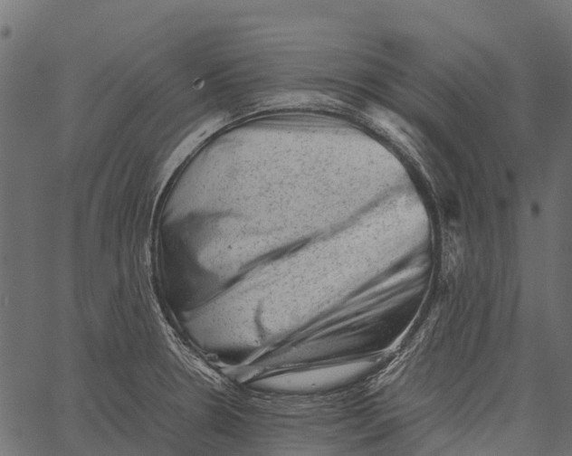 X0000062631330200601111050