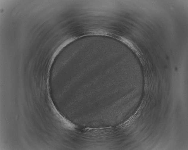 X0000062631331200601111050