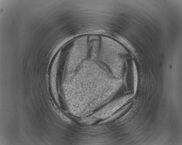 X0000062631332200601111050