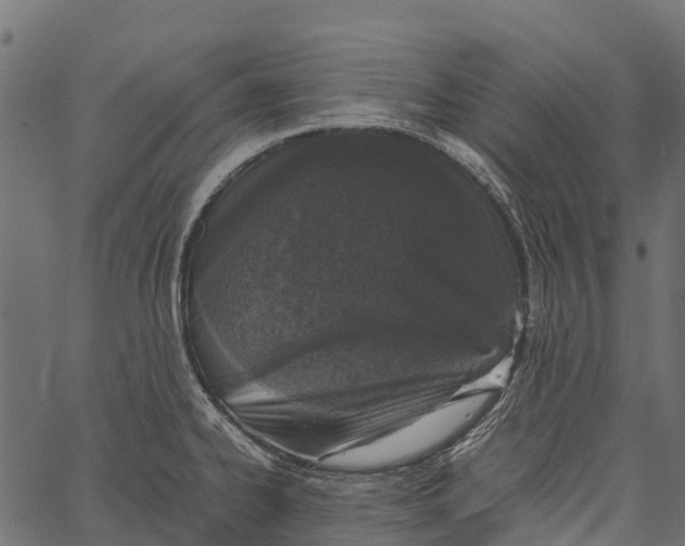 X0000062631334200601111050