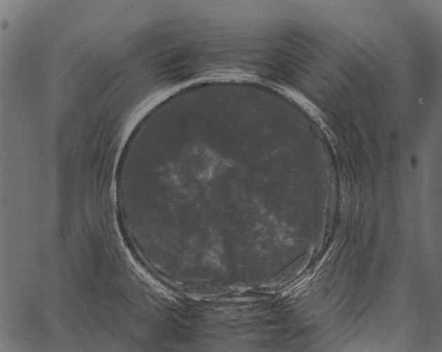 X0000062631335200601111050