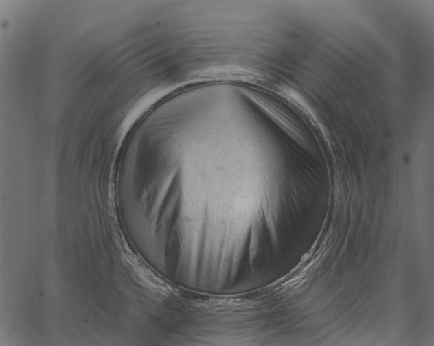 X0000062631336200601111050