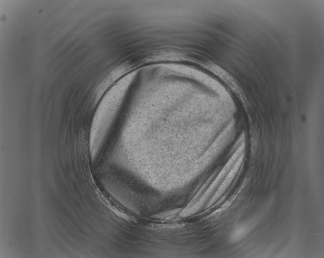 X0000062631337200601111050