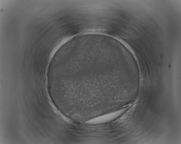 X0000062631341200601111050