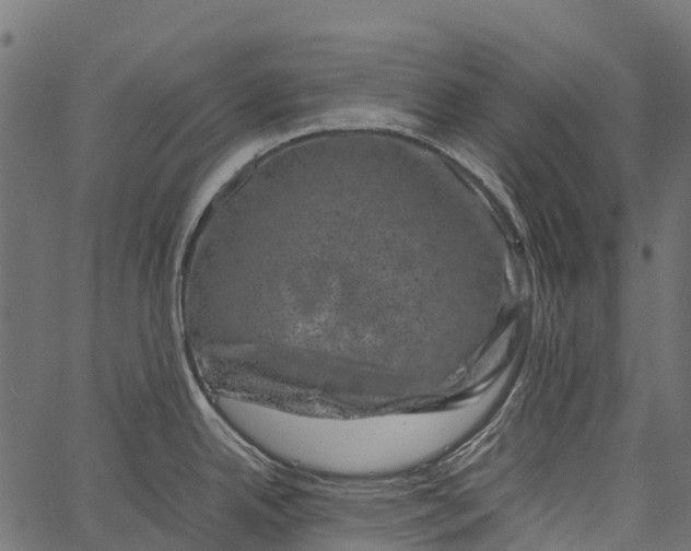 X0000062631342200601111050