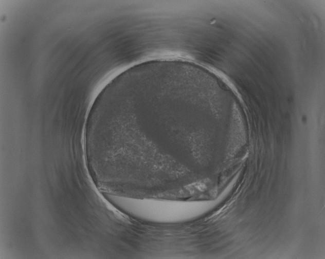 X0000062631343200601111050