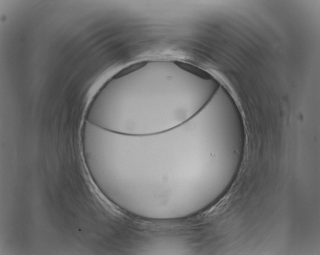 X0000062631344200601111050