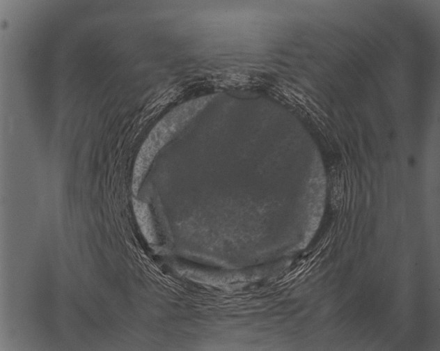 X0000062631345200601111049