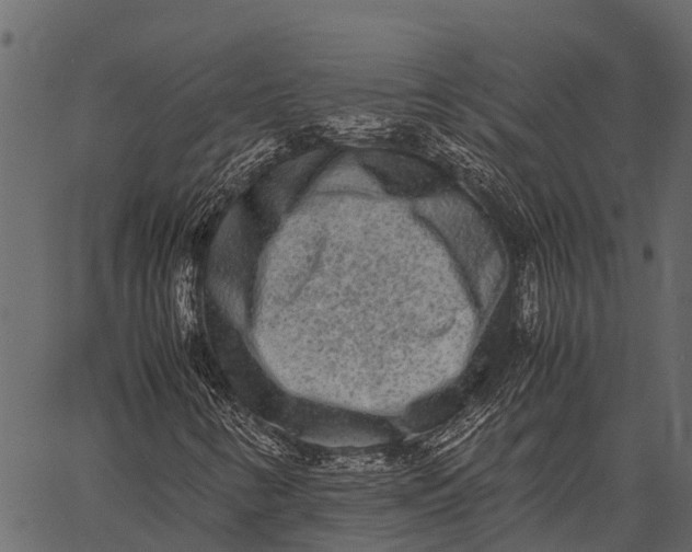 X0000062631346200601111049