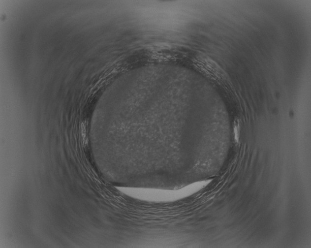 X0000062631347200601111049