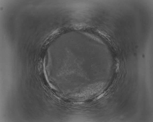 X0000062631349200601111049