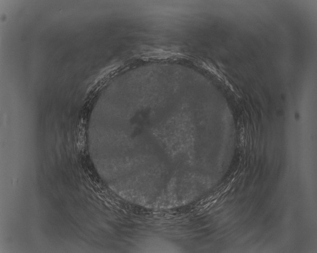 X0000062631350200601111049