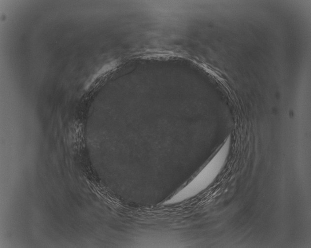 X0000062631351200601111049