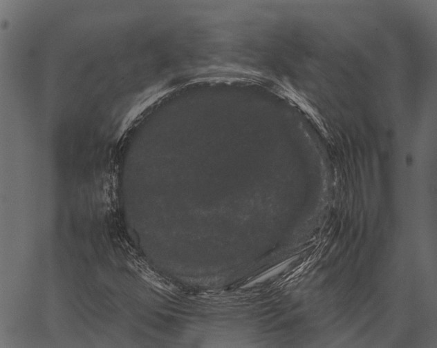 X0000062631352200601111049