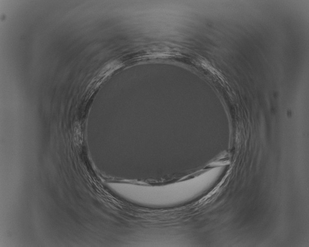 X0000062631353200601111049