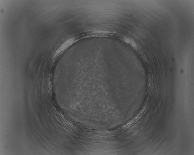 X0000062631354200601111049