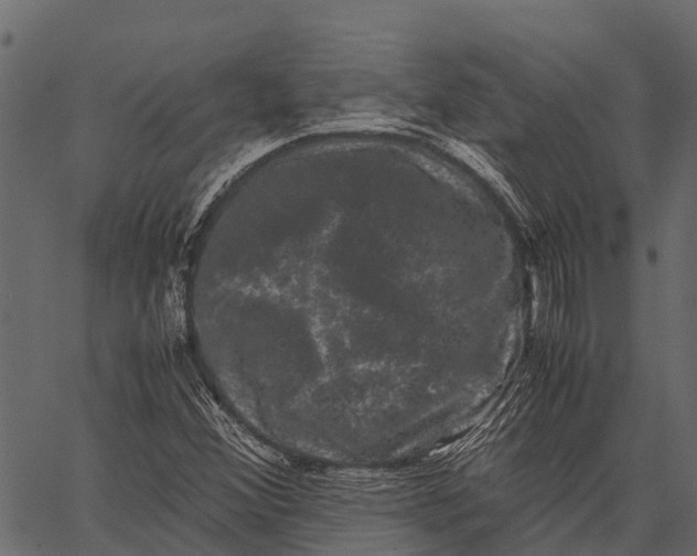 X0000062631356200601111049