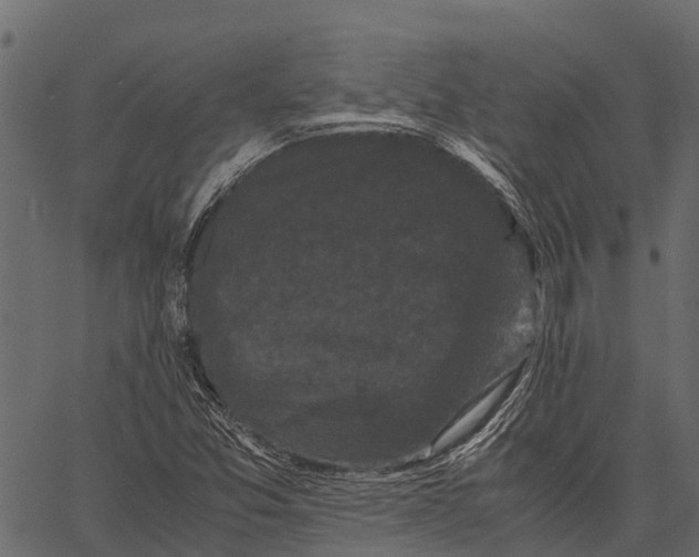 X0000062631357200601111049