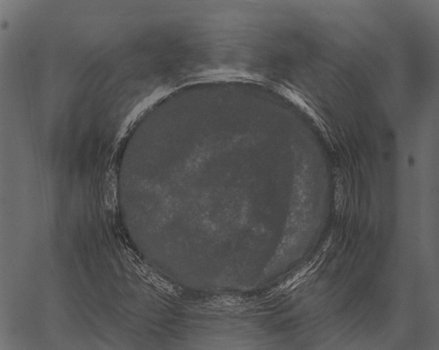 X0000062631358200601111049