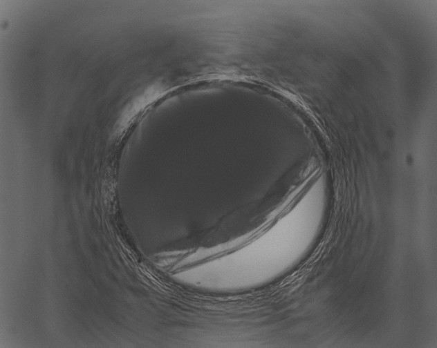 X0000062631359200601111049