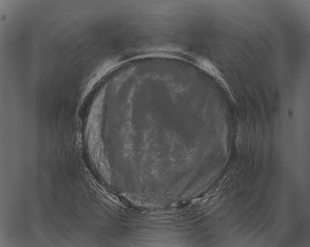 X0000062631360200601111049