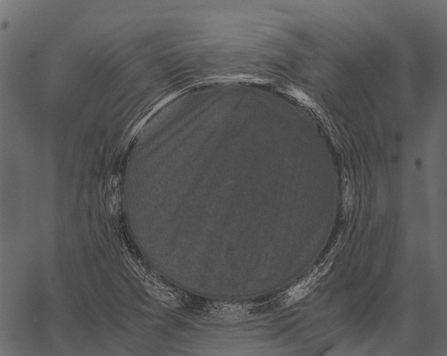 X0000062631361200601111049