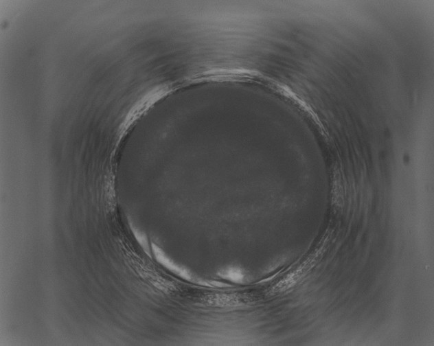 X0000062631362200601111049