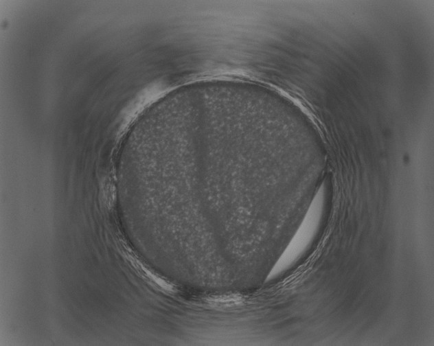 X0000062631363200601111049