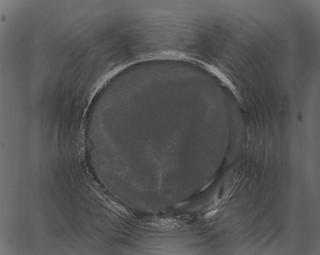 X0000062631364200601111049