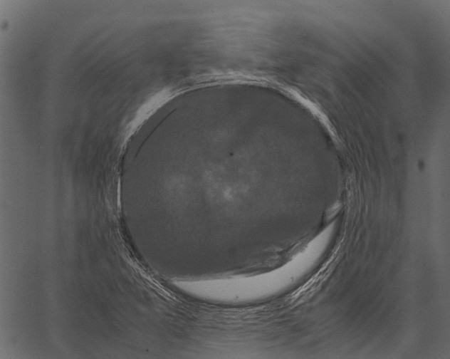 X0000062631365200601111049