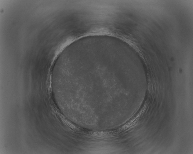 X0000062631366200601111049