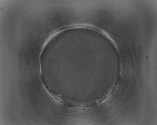 X0000062631368200601111049