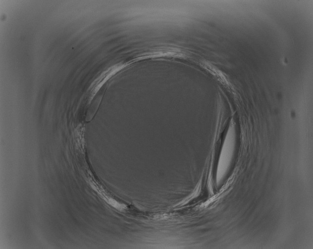 X0000062631369200601111049