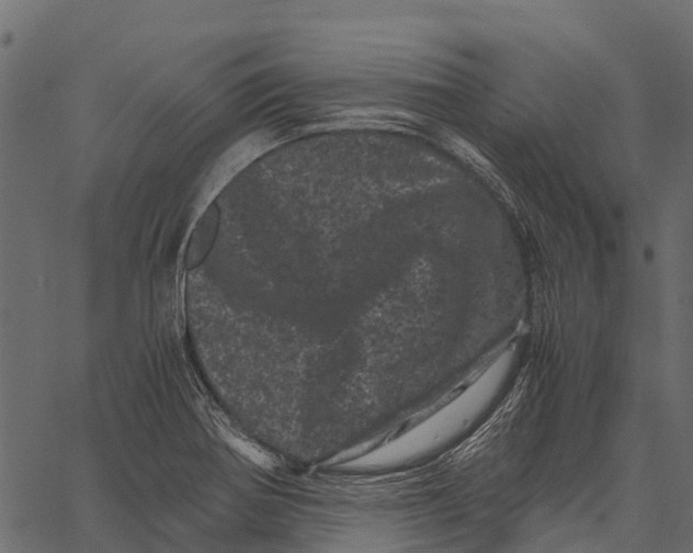 X0000062631370200601111049