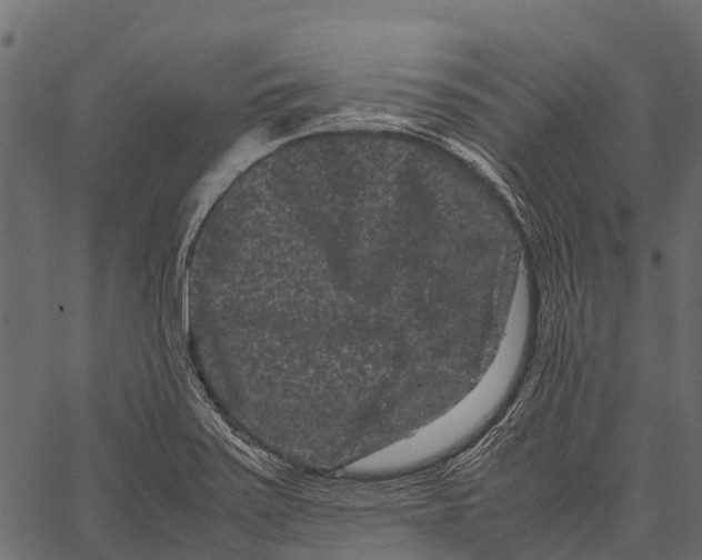 X0000062631371200601111049