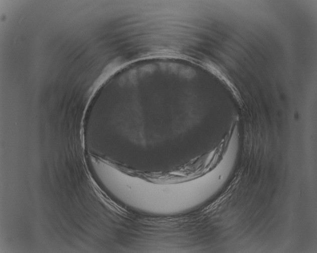 X0000062631372200601111049