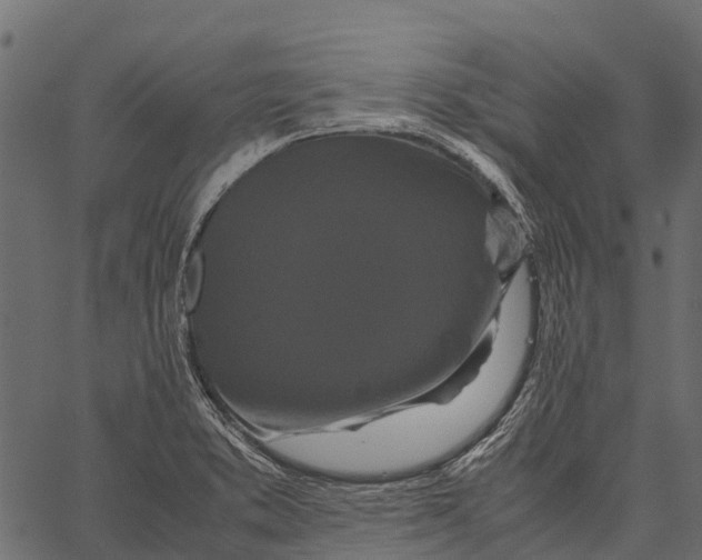 X0000062631373200601111049