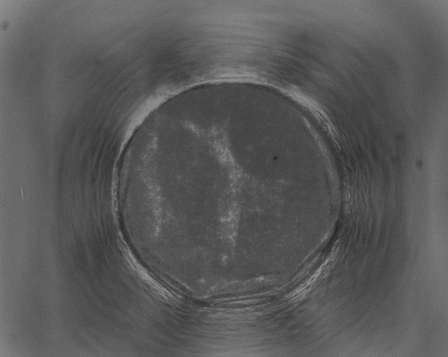 X0000062631374200601111049