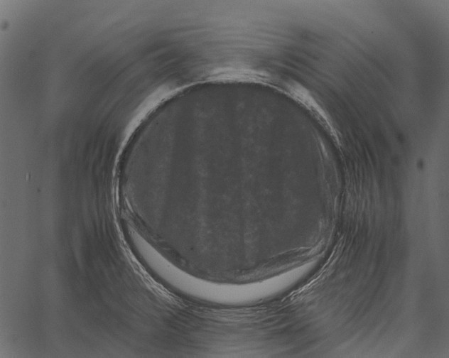 X0000062631376200601111049