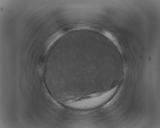 X0000062631377200601111049